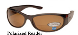 Polarized Readers